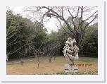 IMG_1799 * 4000 x 3000 * (3.78MB)