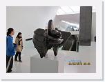 IMG_1858 * 4000 x 3000 * (1.73MB)