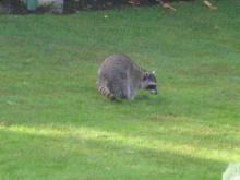 IMG_6174.JPG