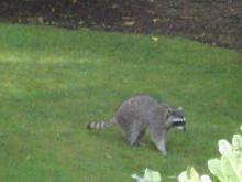IMG_6179.JPG