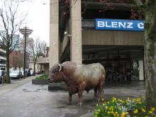 Not a real bull