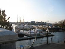 IMG_7472.jpg