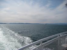 IMG_7595.jpg