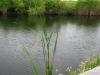 IMG_0072.jpg